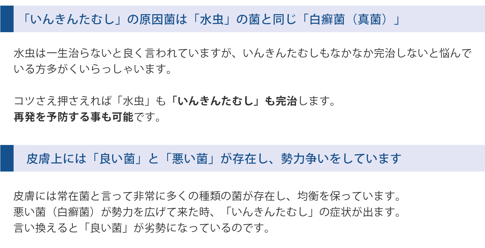 テキスト画像01