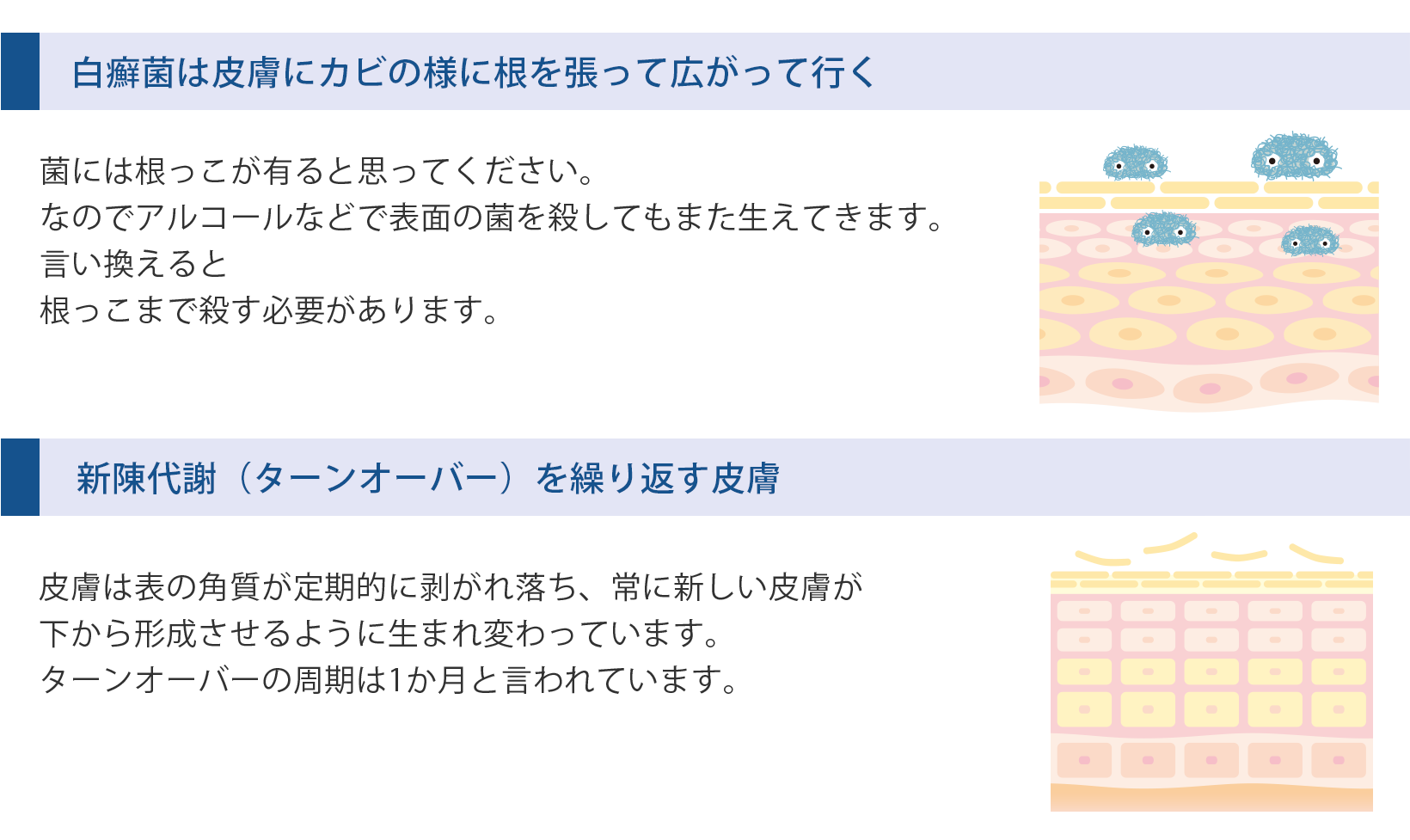 テキスト画像02