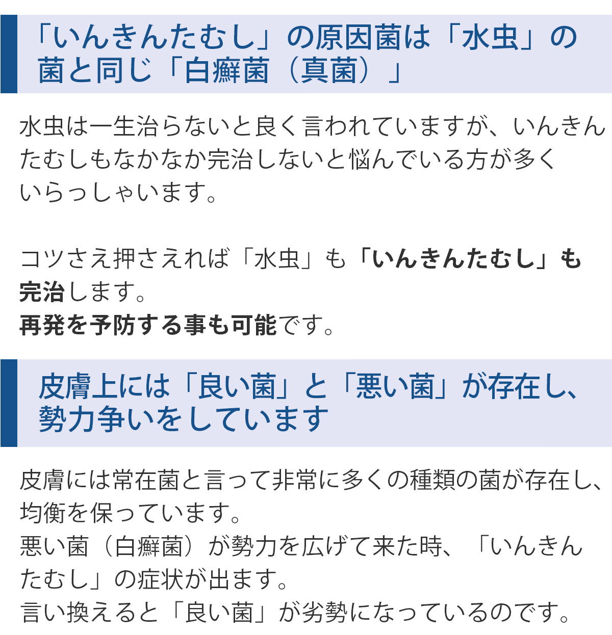 テキスト画像01