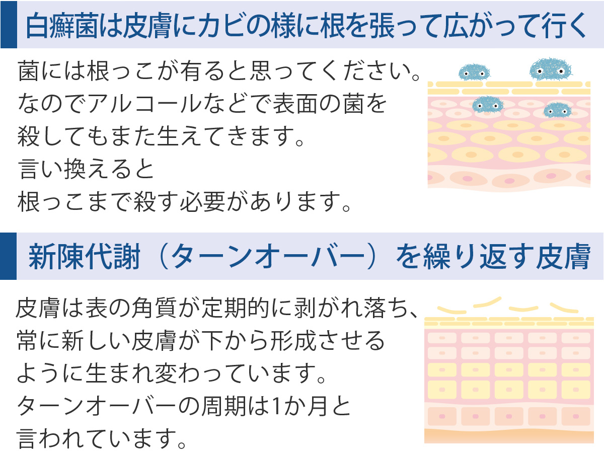 テキスト画像02