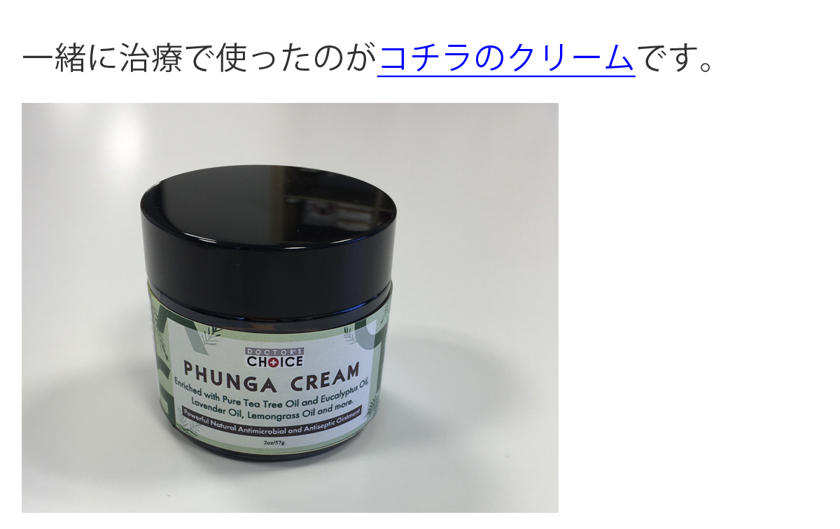 テキスト画像04